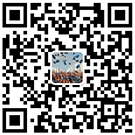 香港内部精准码