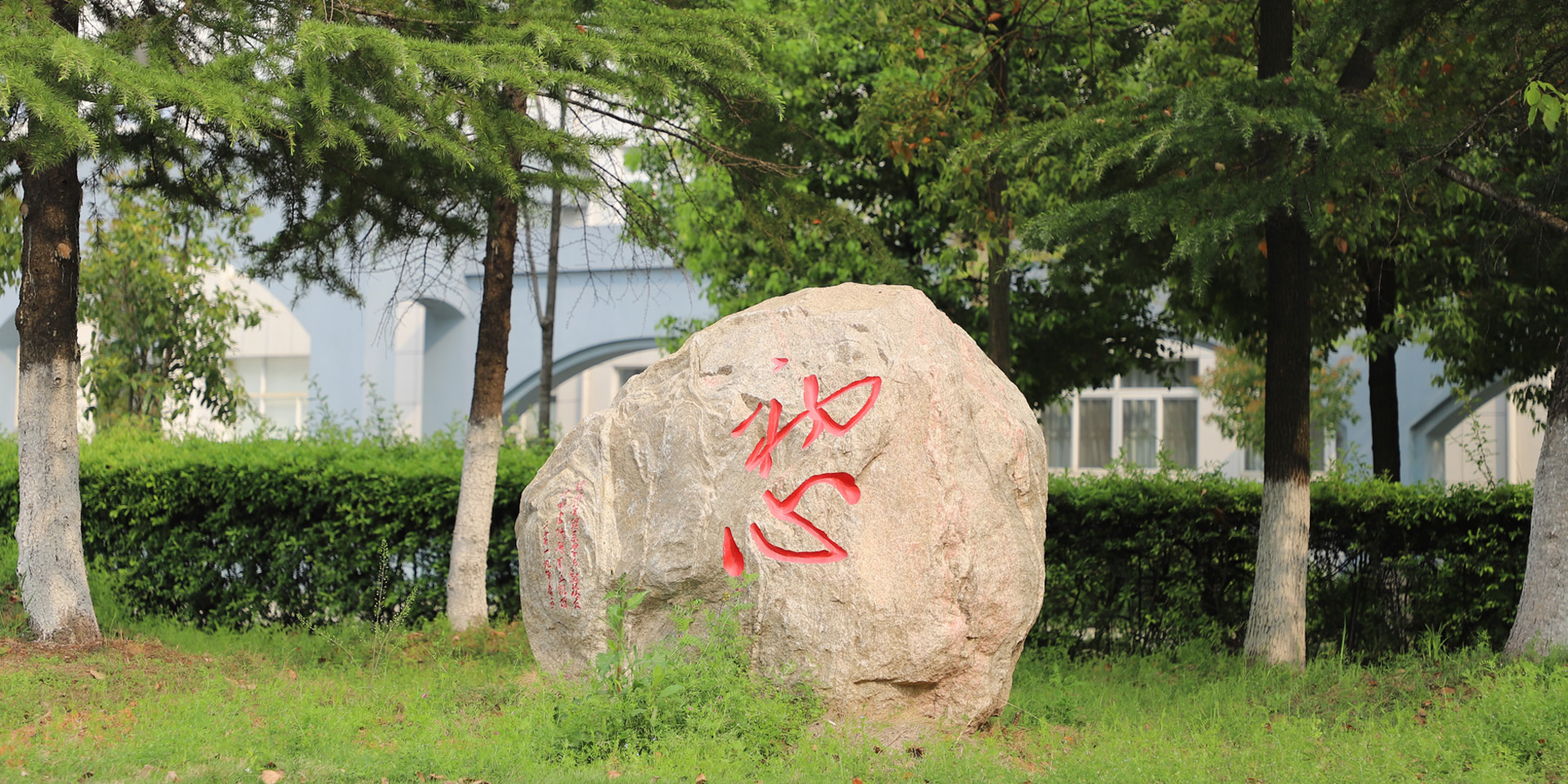 香港内部精准码