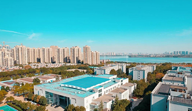 香港内部精准码