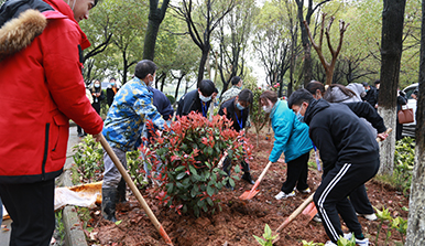 香港内部精准码