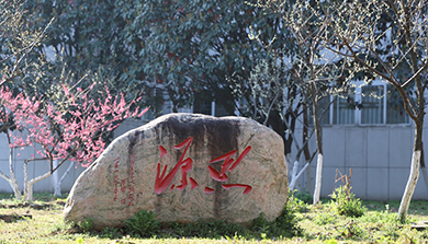 香港内部精准码