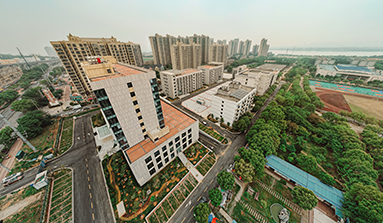 香港内部精准码