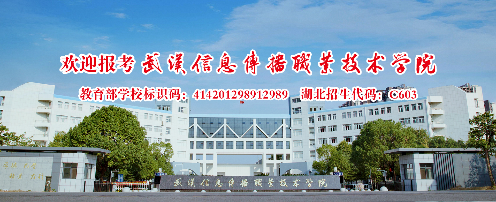 香港内部精准码